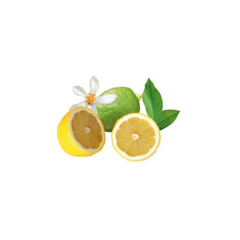 Lot de 50 lingettes rince doigt citron - Nettoyant main pour repas