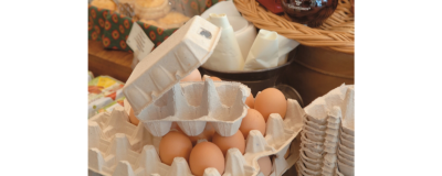 Boîte à œufs